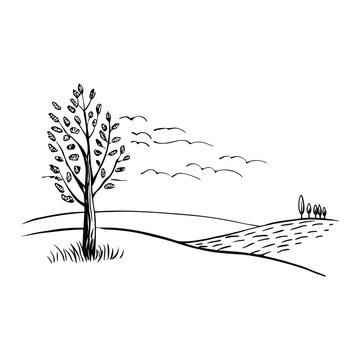 Tree side angle overlooking peaceful countryside meadow