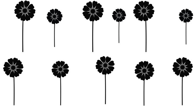 Black dandelion flowers in a row