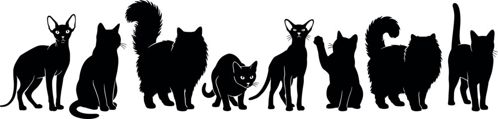 Elegant cat silhouette collection featuring fluffy and short hair domestic feline breeds in various standing sitting and playful poses isolated © MstSapla