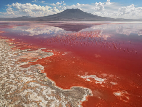 Atmospheric aerial image of Lake Natron, Tanzania, revealing its vibrant red waters teeming with flamingos, reflecting a majestic mountain under a partly cloudy sky, isolated on transparent background