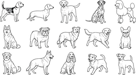 Hand drawn dog breed collection featuring detailed domestic canine outline illustrations in various standing sitting and playful poses isolated on background © MstSapla