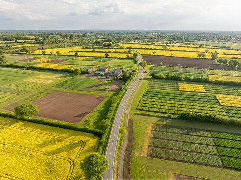 Aerial view of agricultural test fields with wheat, rye, and corn plots, showing different varieties and hybrids grown for research. Agricultural testing field devided in plots for field trials.