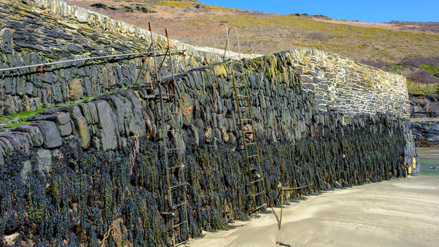 Cornish Harbour Wall