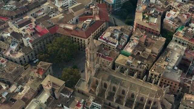 Aerial view church of santa eulalia de Palma de Mallorca. Cathedral in the cityscape of the island, landmarks and tourist points. Travel and tourism in Spain.