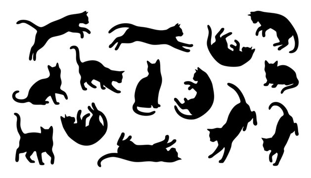 Set of black cat silhouettes in different poses
