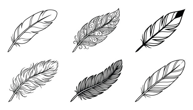 Elegant Feather Outline Vector Illustration Collection With Minimal Decorative Style