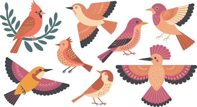 Vintage style colorful forest birds collection vector flat illustration elements set for nature lovers