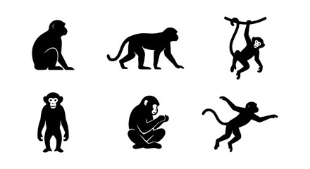 Fototapeta premium Monkey Silhouettes: Primate Poses, Jungle Animals, Wildlife Icons, Vector Art