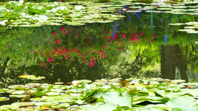 モネの庭園
