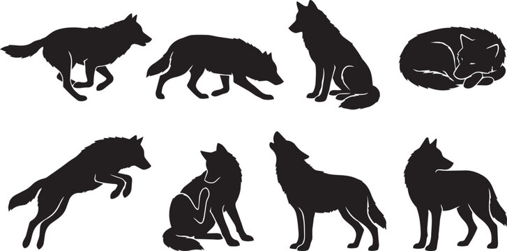 Howling wolf silhouette against a full moon with dark forest trees and misty night sky background.