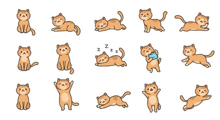 Obraz premium Cats are playing and sleeping in various positions and emotions.