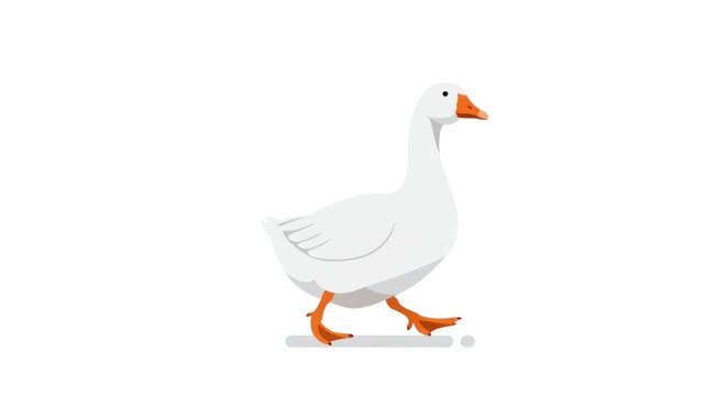 A white goose walking on ground with orange beak and feet