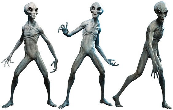 Grey aliens	