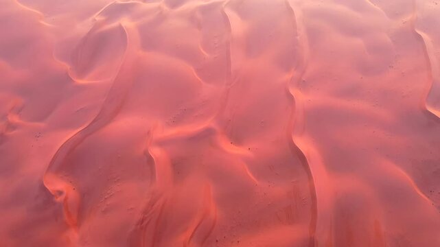 Aerial view of the vast red sand dunes of Neom with intricate wind-blown ripples under soft warm light in Tabuk, Tabuk Province, Saudi Arabia.