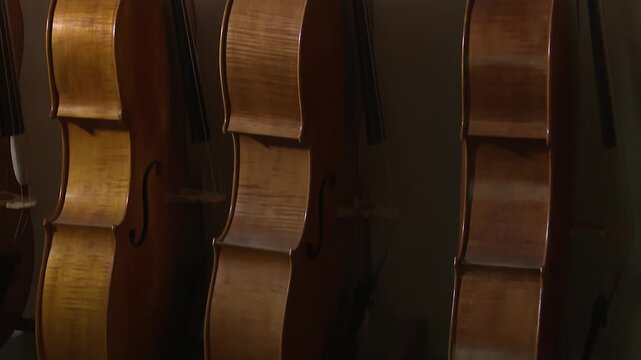 Bilbao, spain; may 21 2022: cello bodies resting in a luthier's workshop