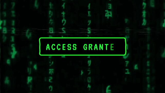 Access Granted Cyber Security Screen with Matrix Code Background and Glitch Animation