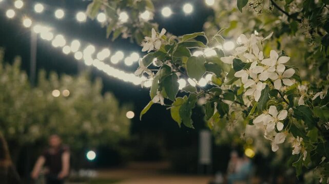 White blossoms and green leaves glow in soft evening light in a park under hanging string lights. Blurred figures and a warm park atmosphere create a calm outdoor celebration scene. Close up.