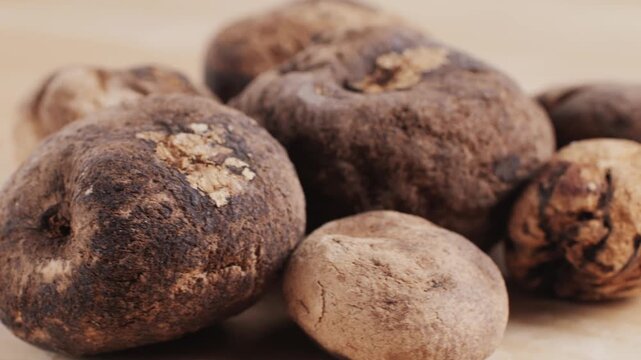 Black and White chunos potatoes from Peru, chuno food from potato, bolivian peruvian traditional dish. 
