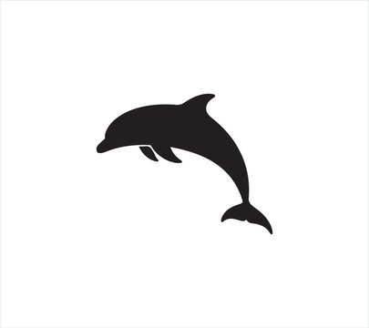 Black silhouette of a dolphin jumping out of water  marine mammal