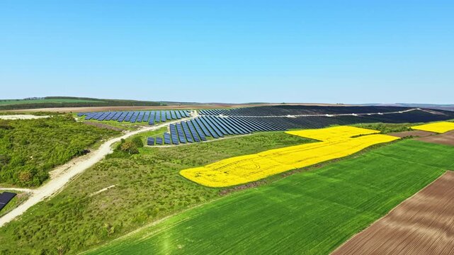 Rows of solar panels stretch across the land, surrounded by green fields and a bright yellow flower patch. The scene captures a rural setting under clear blue skies.