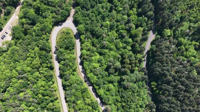 Aerial view of a winding asphalt road with a sharp hairpin turn snaking through a dense green forest under bright daylight in Selestat, Grand Est, France.