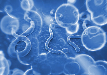 Plakat Ebola virus under the microscope. Epidemic contagion