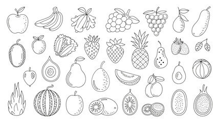 Collection of hand drawn fruit sketches including bananas apples and strawberries in black and white © Roxxxxxxxxx
