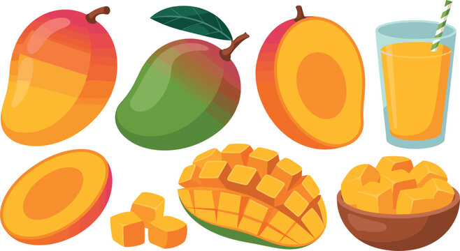 Fresh sweet mango fruits whole cut halves cubed slices and juice glass vector cartoon flat illustration set