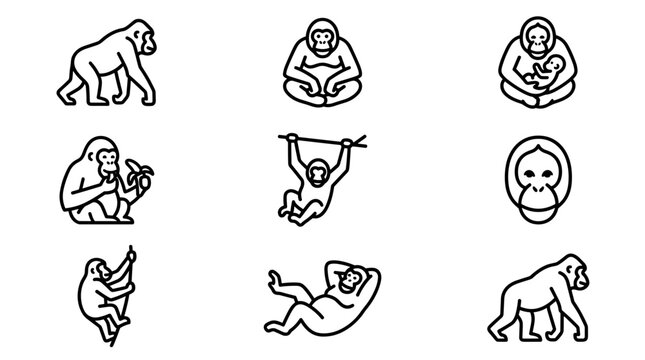 A collection of simple, modern line art icons depicting various poses and actions of monkeys and apes, including eating, swinging, and resting.