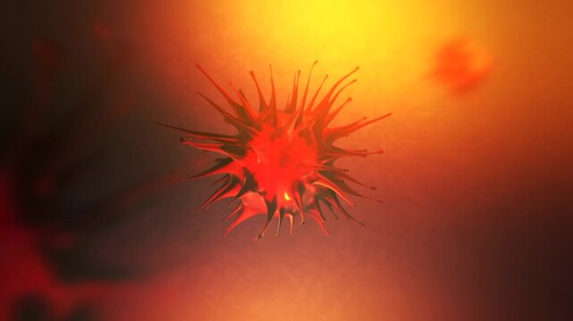  3D Simulation of Rubella Virus in Children's Body