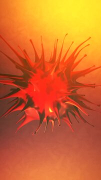 3D Simulation of Rubella Virus in Children's Body - Vertical