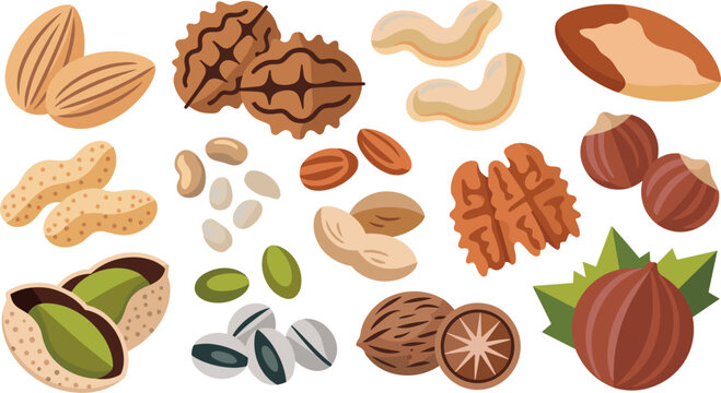 Healthy nuts and seeds collection vector cartoon flat illustration icons set for vegan snack diet