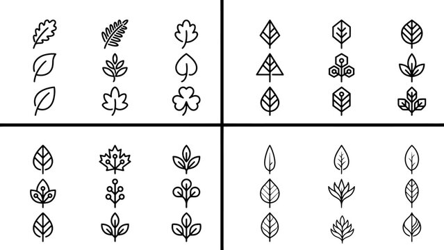 Minimalist leaf icons vector col 