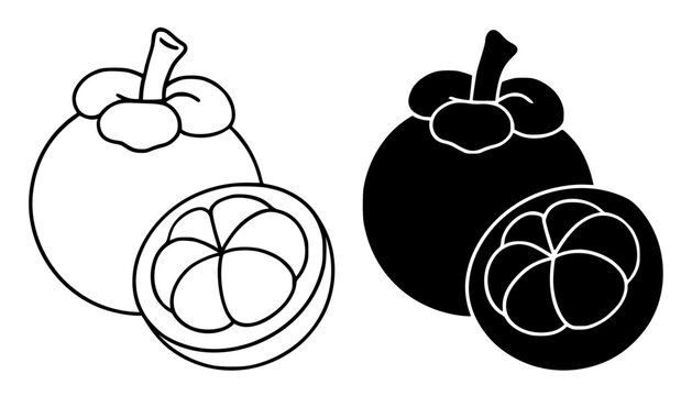 Mangosteen minimalist icon illustration in outline and silhouette design