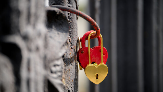 Romantic wedding padlocks locked together on a black metal gate. Beautiful concept for Valentine's Day, romance, fidelity, and strong relationship bonds. Photo