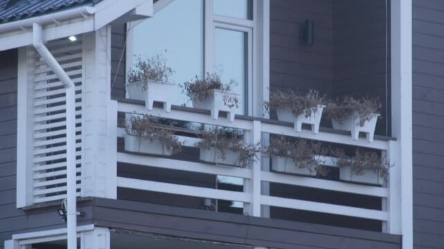 Plants on balcony appear dry and brown, showing signs of neglect in a residential building setting