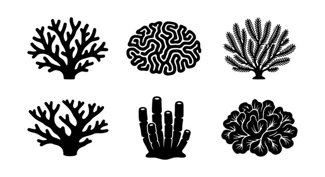 Coral Icons Set, Marine Life Vector Graphics, Underwater Ecosystem Elements, Ocean Flora Silhouettes