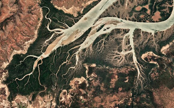 Braided River Delta Aerial View Tropical Estuary Satellite Image