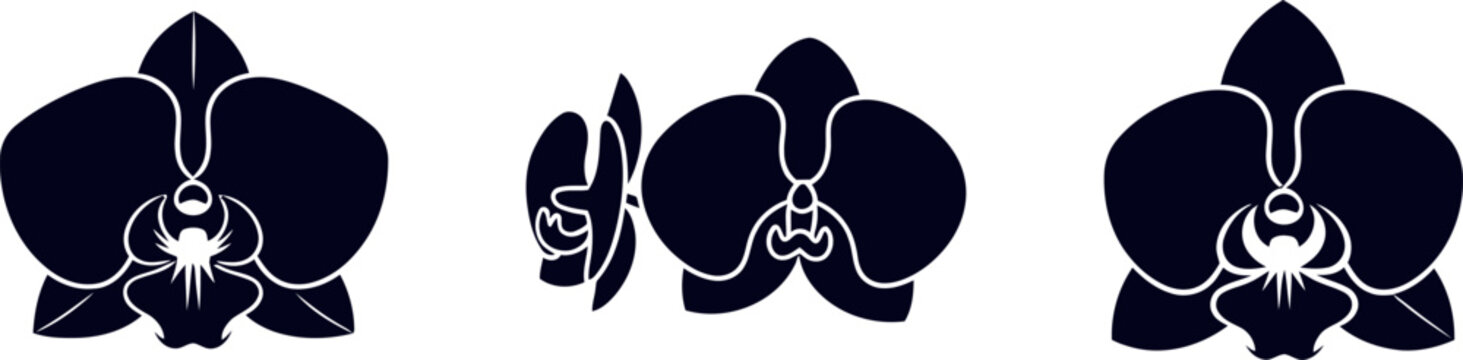 Silhouette of orchid flowers in various views
