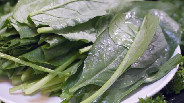 Fresh large-leaf spinach for hot pot