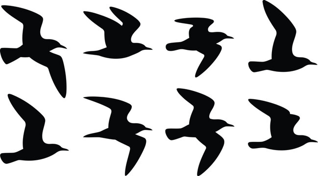 Set of flying bird silhouettes in various positions and angles  isolated on transparent background