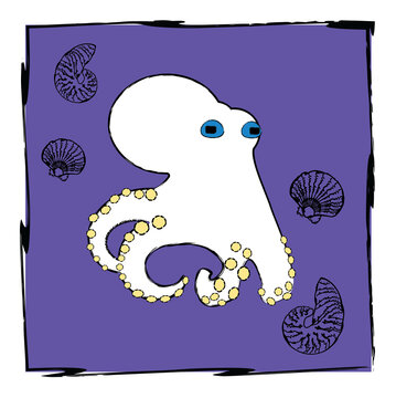octopus