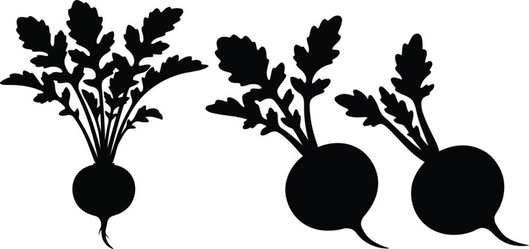 Silhouette of fresh beets with leafy tops symbolizing organic farming, healthy nutrition, and natural vegetable harvest in minimalist black artwork