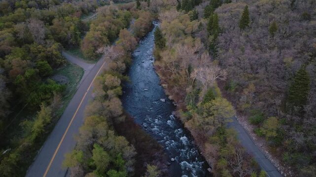 Aerial view of the Provo River winding through the lush forest of Provo Canyon with a mountain road running alongside the water in Orem, Utah, United States.