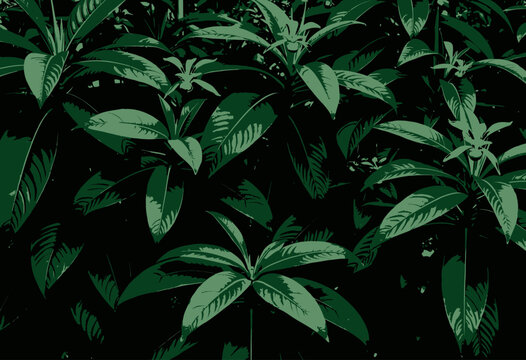 Vibrant Tropical Foliage with Pink Blossoms in Soft Evening Light
