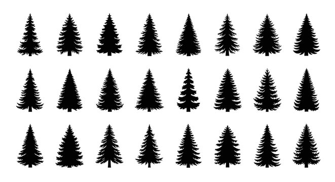 Collection of various black pine tree silhouettes on white background for design and decoration