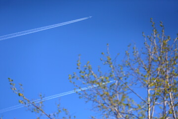 Obraz premium airplane in the sky