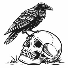 Fototapeta premium Crow sitting on a human skull. Vintage vector black illustration engraving