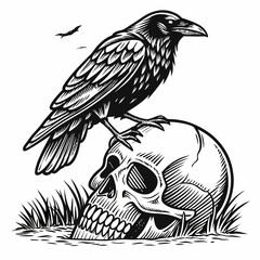 Fototapeta premium Crow sitting on a human skull. Vintage vector black illustration engraving