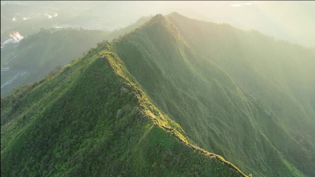 Aerial view of the sharp green mountain ridges of Dieng Plateau under golden morning light and mist in Kejajar, Central Java, Indonesia.